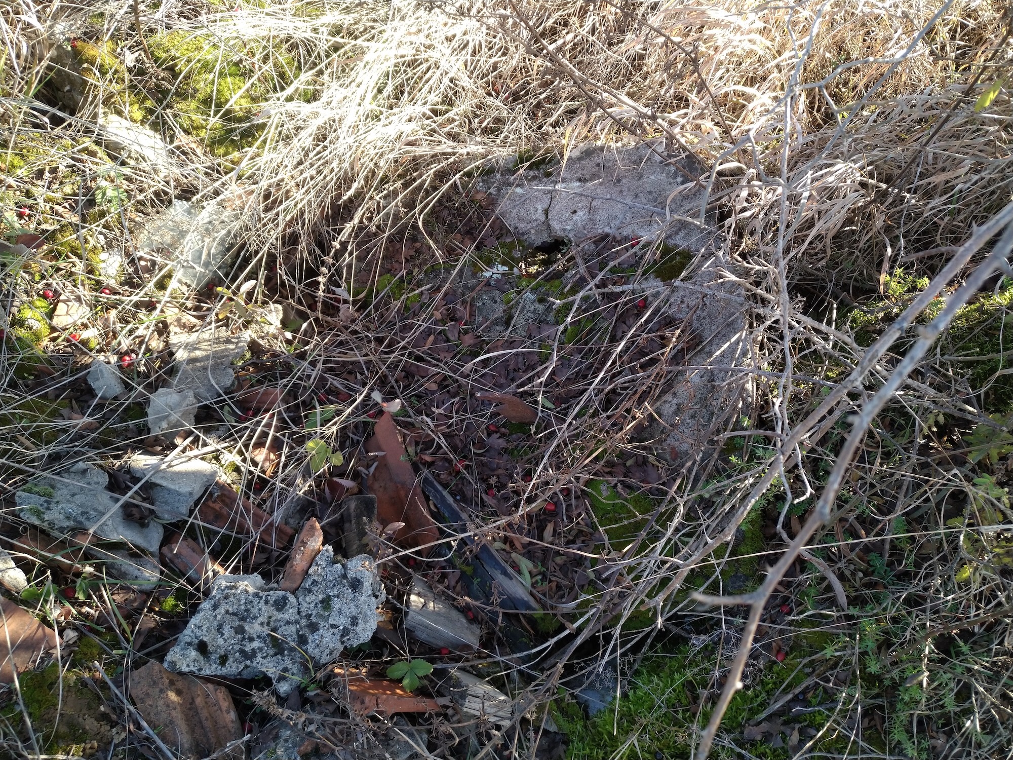 Avenul Debutului (Avenul Scheletelor) - Image 2